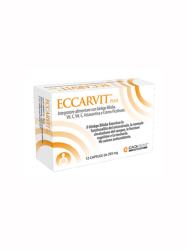 ECCARVIT PLUS 12 CAPSULE